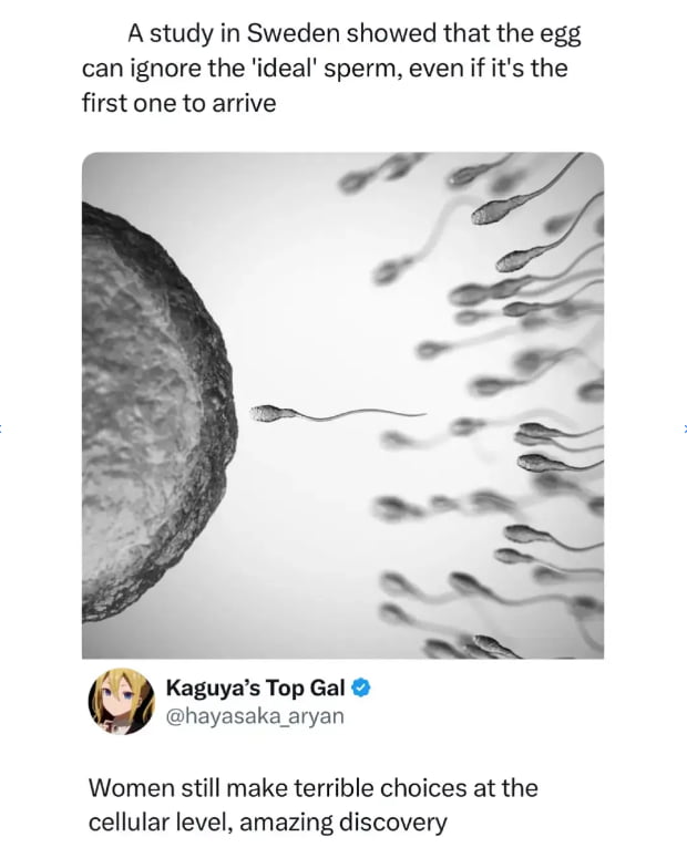 And so it begins