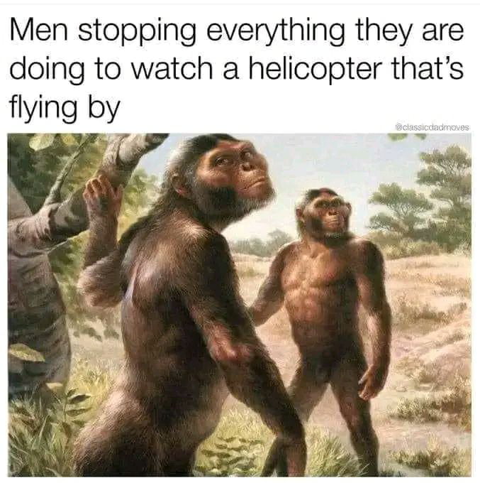 It's the law