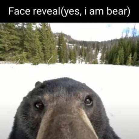 Face reveal - 9GAG