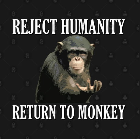 Reject Humanity Return to Monke Evolution Funny Chimp Meme - Reject  Humanity - Sticker