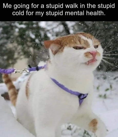 Yes that is it .