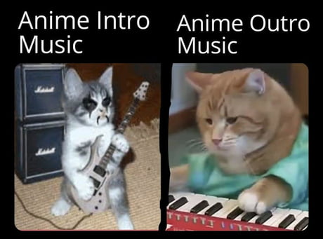 Anime Memes  I want a cat like that  Facebook