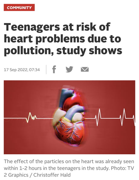 Teenagers at risk of heart problem due to pollution, study shows
