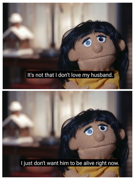 Awkward Puppet Meme 