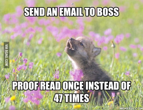 Living Life On The Edge 9gag