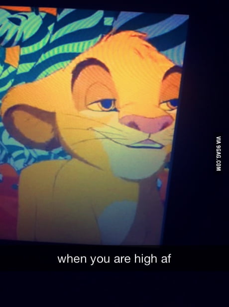 Paused The Lion King at the wrong moment - 9GAG Paused The Lion King at the wrong moment - 9GAG