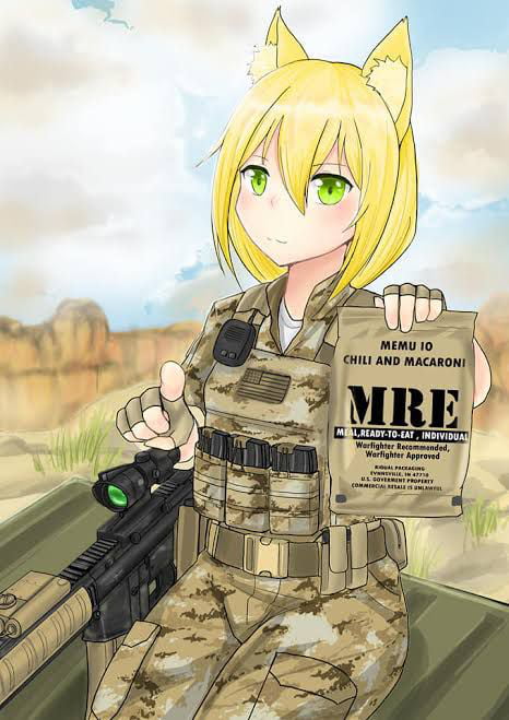 just-crossed-my-mind-can-you-heat-up-your-mre-by-using-nothing-but