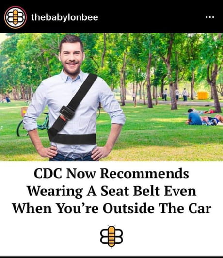 seat belt memes