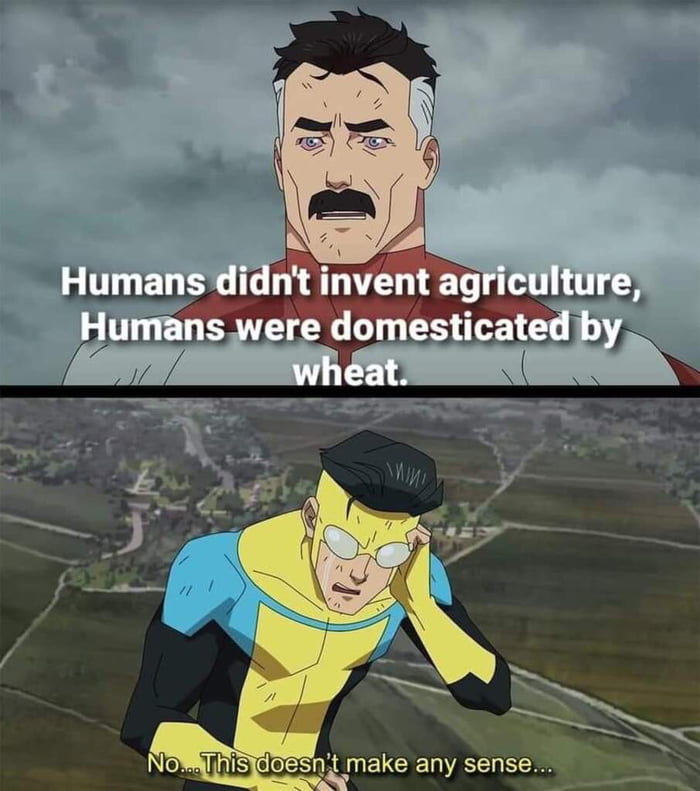 Think about it. Wheat is the most successful plant in the world.