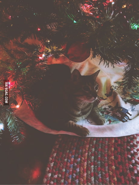 xmas kitty