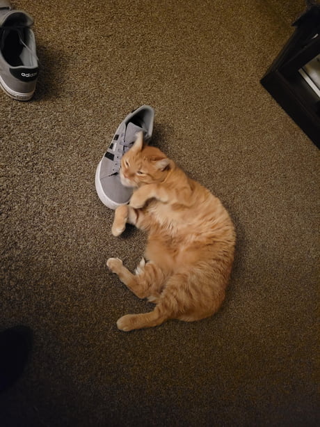 derpy shoes