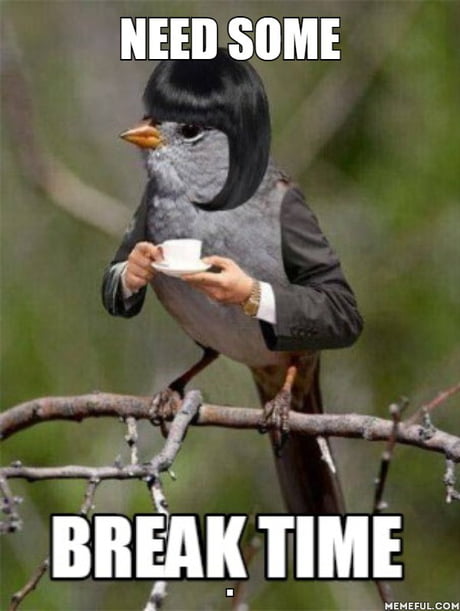 Funny Break Time Memes