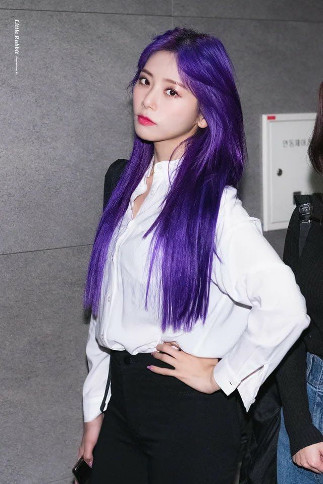 Photo : Purple Jiu