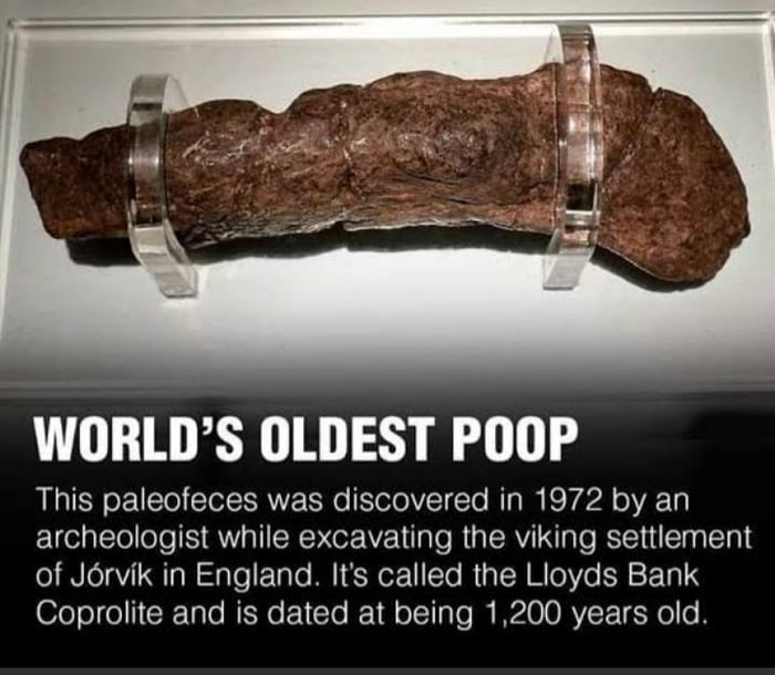 The massive human turd is 20 cm in length and five cm in width. It