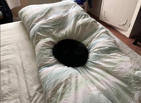 Hole Bed