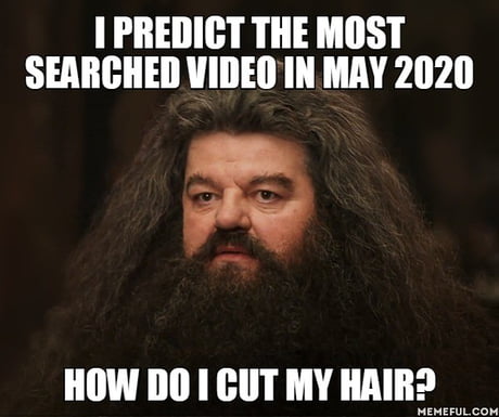 Hagrid Meme Should Not Have Done That