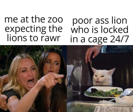 Maybe... we are the ones in a cage woman yelling at a cat meme boredbat boredbat.com