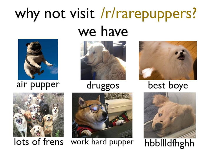 Why not visit us?