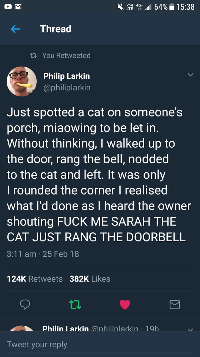 Cat are great ... dogs are better