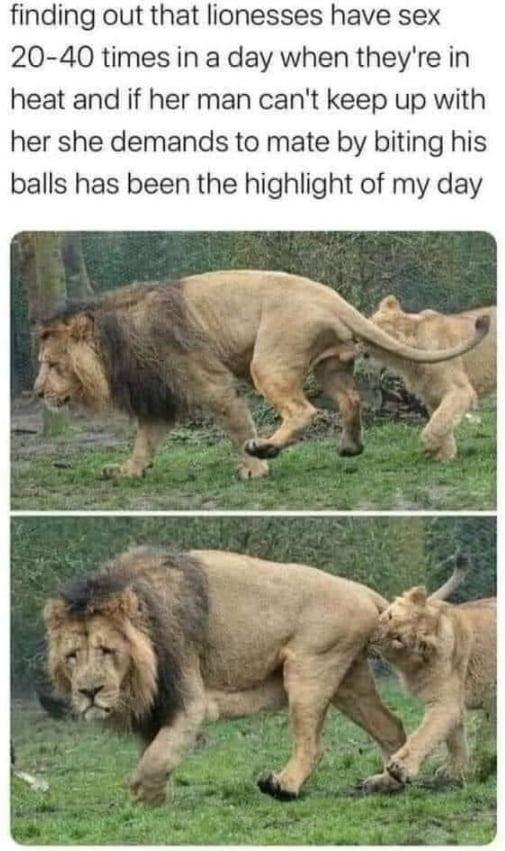 Did this highlight your day? xD