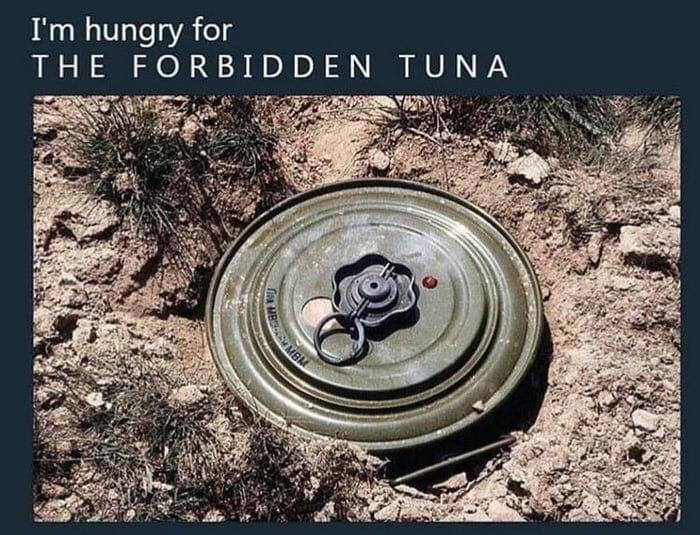 Mmmm forbidden tuna..