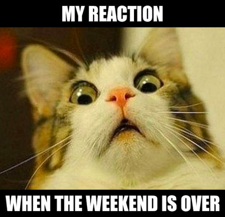 weekend is over images
