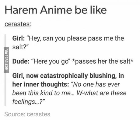 Harem anime in a nutshell - 9GAG