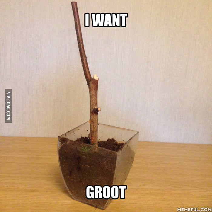 After Seeing Guardians Of The Galaxy This Is How I Feel 9gag