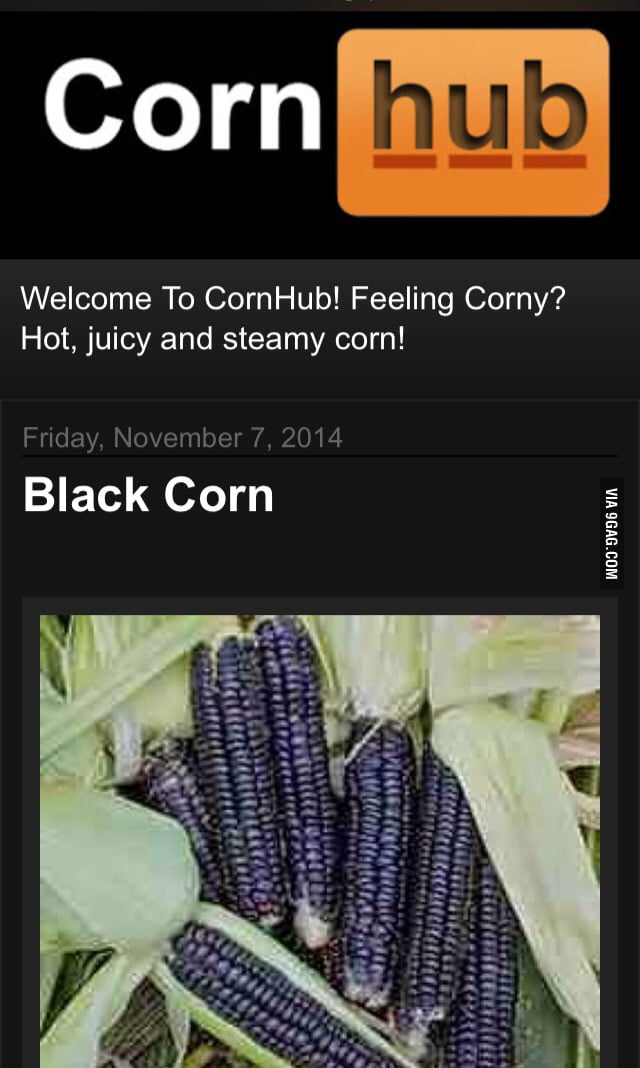 I love putting BBC in my mouth (Big Black Corn) 9GAG
