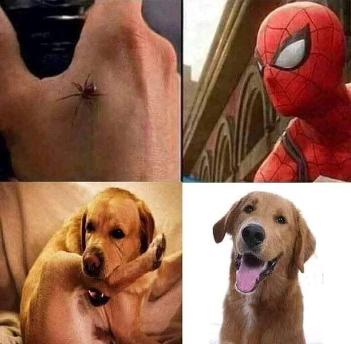 Make sense