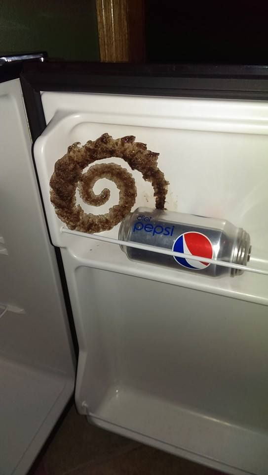 Fibonacci bepis