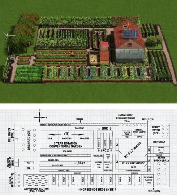 How to grow a year's worth of food on a quarter acre plot