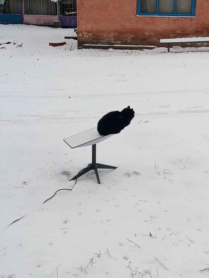 Cat keeping warm on a starlink terminal 9GAG