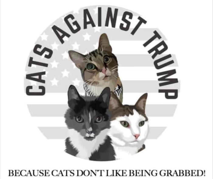 Cats Against Trump - 9GAG