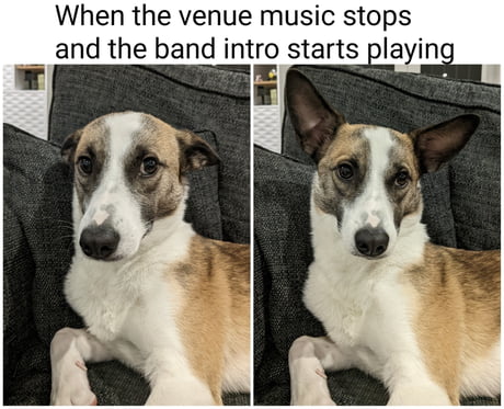 Best Funny concert Memes - 9GAG