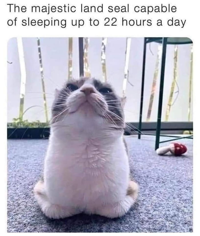 the-majestic-land-seal-9gag