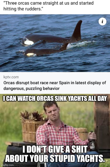 orca yacht meme