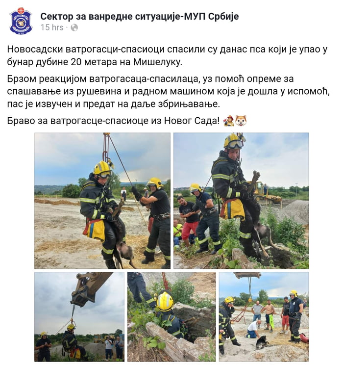 Stray dog fell into 20m deep abandoned well in Novi Sad, Serbia ...