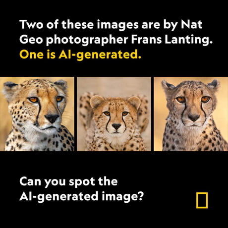 NatGeo be like: - 9GAG