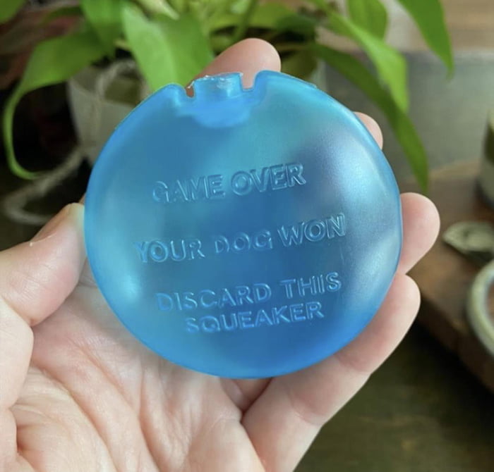 Inside a dog toy 9GAG