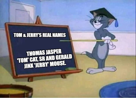 Best Funny Tom And Jerry Meme Memes - 9Gag