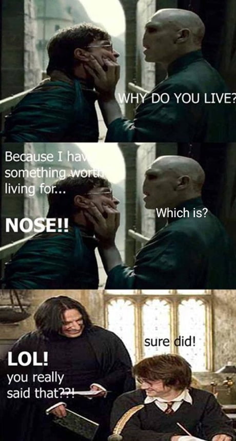 Voldemort, Harry Potter Memes