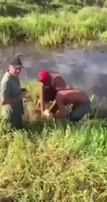 What the hell is this thing? Anyone?