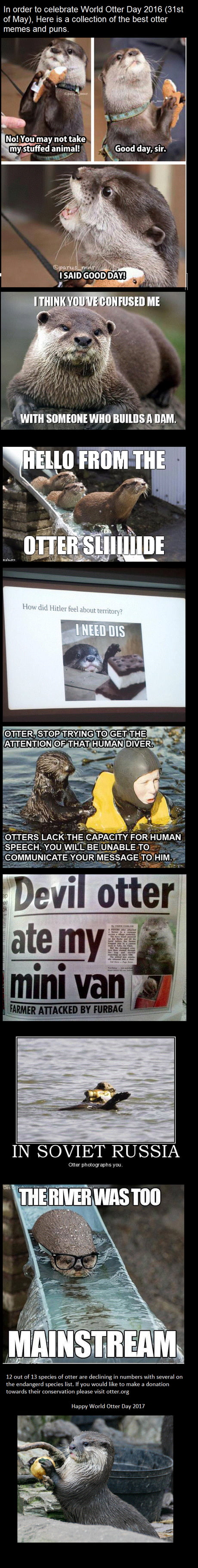 Happy World Otter Day 9gag