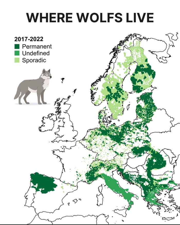 Once nearly wiped out across much of Europe, wolves are making a comeback