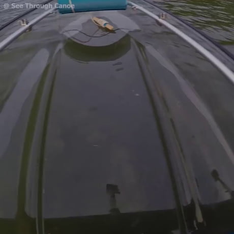 Yeah, not going in the water