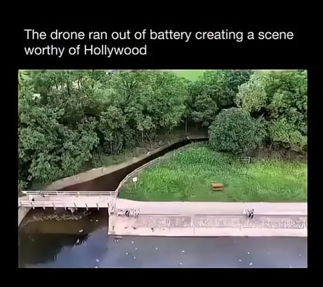 The drone's dramatic water landing, complete with a duck-filled audience