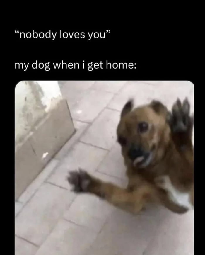 My dog is the only one who truly gets me