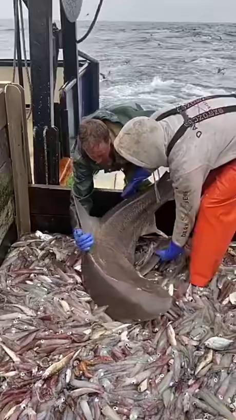 Sir, you’ve had enough