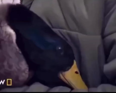 In the arms of an angel.......